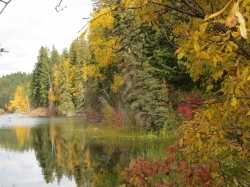 fall colours.jpg