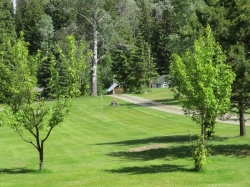 green space.jpg