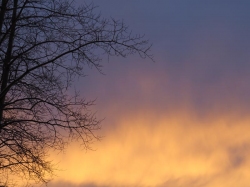 nature's beauty.jpg