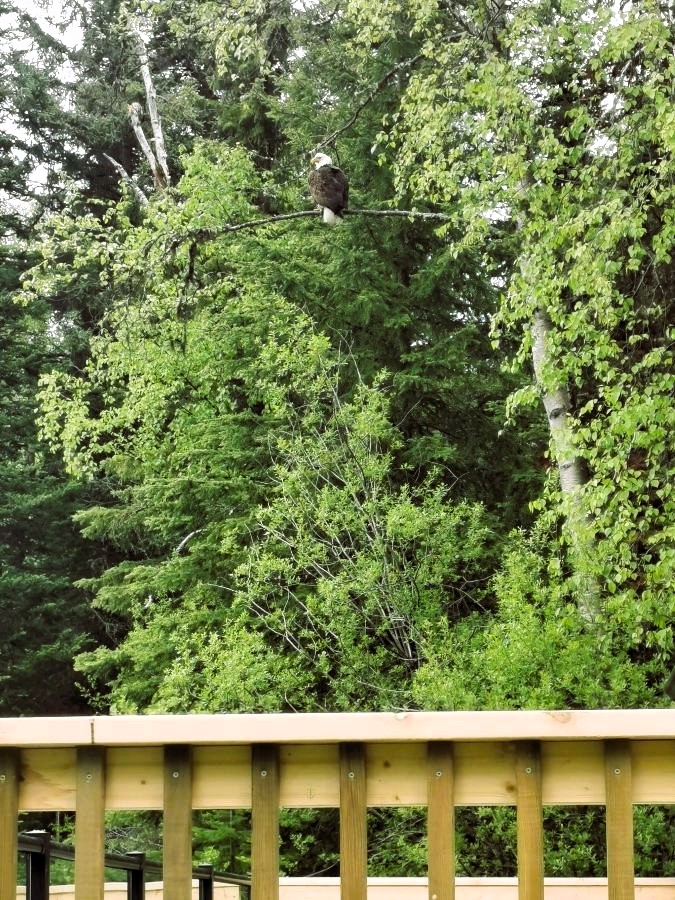 https://moosehavenresort.com/dev/wp-content/uploads/2015/03/19.jpg
