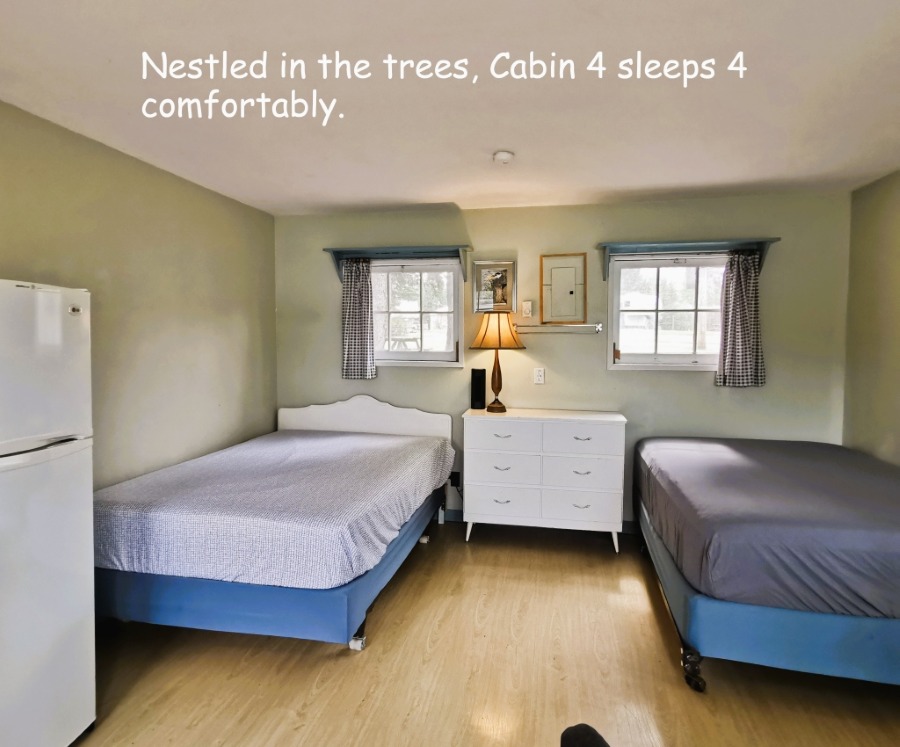 https://moosehavenresort.com/dev/wp-content/uploads/2026/06/6-Cab4-in-trees.jpg
